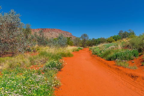 Alice Springs Desert Park General Entry Ticket - Accommodation Fremantle 7