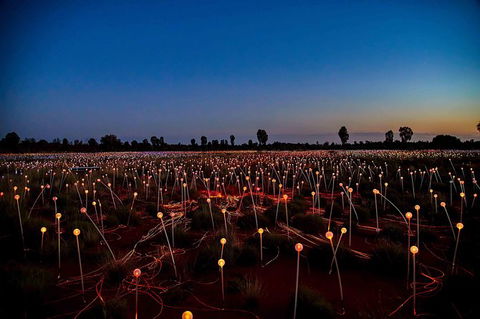 Uluru & Kata Tjuta Sights & Sounds - Accommodation Fremantle 8