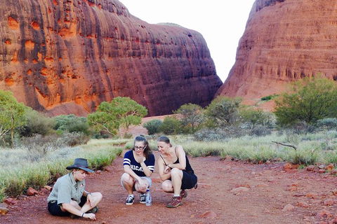 Afternoon Kata Tjuta Small Group Tour - Accommodation Fremantle 7