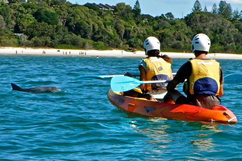 The Byron Bay Sea Kayak Tour - Accommodation Fremantle 1