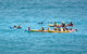 The Byron Bay Sea Kayak Tour - thumb 12