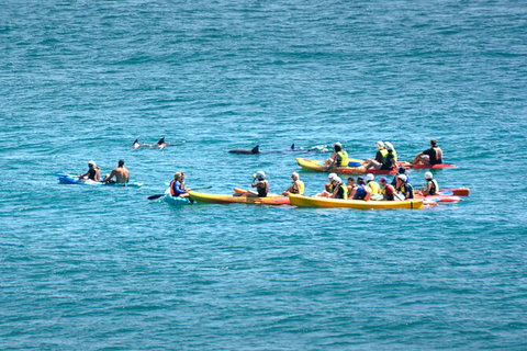 The Byron Bay Sea Kayak Tour - Accommodation Fremantle 12