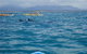 The Byron Bay Sea Kayak Tour - thumb 4