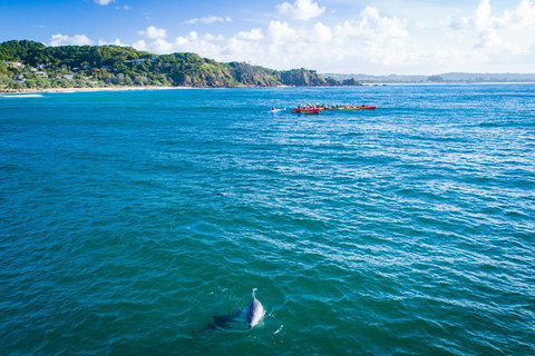 The Byron Bay Sea Kayak Tour - Accommodation Fremantle 8