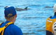 The Byron Bay Sea Kayak Tour - thumb 11