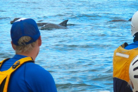The Byron Bay Sea Kayak Tour - Accommodation Fremantle 11