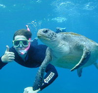 3-Hour Sea Turtle Snorkeling Experience in Byron Bay - Accommodation Fremantle