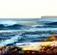 7-Day Byron Bay Evans Head and Moonee Beach Surf Safari from Brisbane Gold Coast or Byron Bay - Accommodation Fremantle