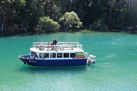 Brunswick Heads Rainforest Eco-Cruise - Accommodation Fremantle 0