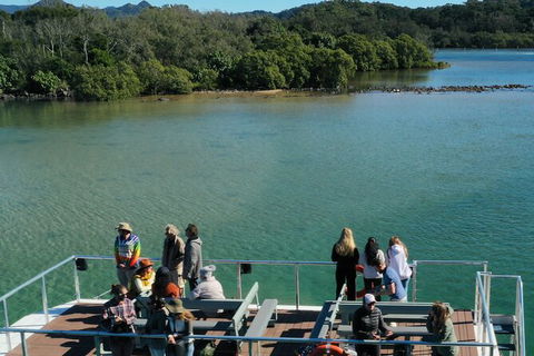 Brunswick Heads Rainforest Eco-Cruise - Accommodation Fremantle 8