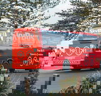 SkyBus Byron Bay Express - Accommodation Fremantle