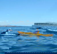 Whale Watching by Sea Kayak in Batemans Bay - Accommodation Fremantle