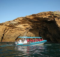 Hunter Coastal Adventure Tour by Boat from Newcastle - Accommodation Fremantle