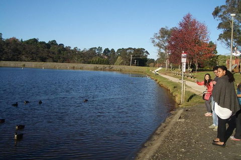 All-Day Blue Mountains Private Tour With Professional Guide For Up To 4 People - Accommodation Fremantle 24
