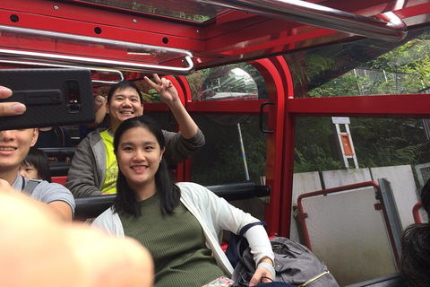 All-Day Blue Mountains Private Tour With Professional Guide For Up To 4 People - Accommodation Fremantle 15