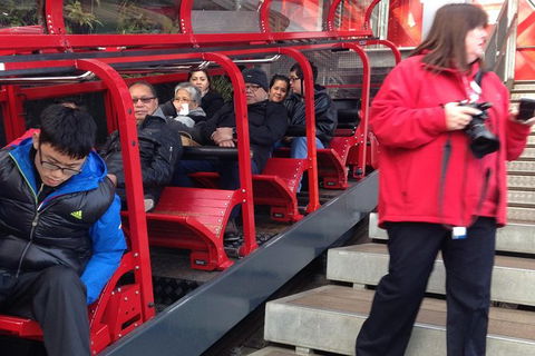All-Day Blue Mountains Private Tour With Professional Guide For Up To 4 People - Accommodation Fremantle 8