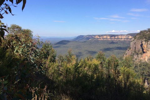 All-Day Blue Mountains Private Tour With Professional Guide For Up To 4 People - Accommodation Fremantle 4