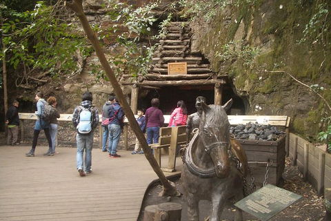 All-Day Blue Mountains Private Tour With Professional Guide For Up To 4 People - Accommodation Fremantle 9