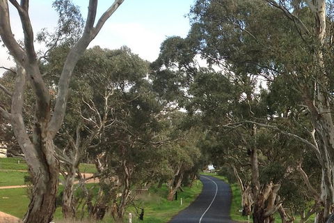 All-Day Blue Mountains Private Tour With Professional Guide For Up To 4 People - Accommodation Fremantle 22