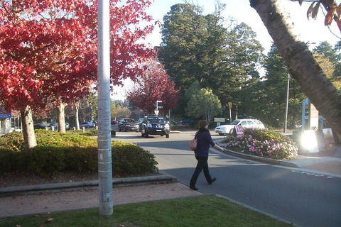 All-Day Blue Mountains Private Tour With Professional Guide For Up To 4 People - Accommodation Fremantle 12