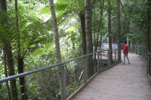 All-Day Blue Mountains Private Tour With Professional Guide For Up To 4 People - Accommodation Fremantle 20