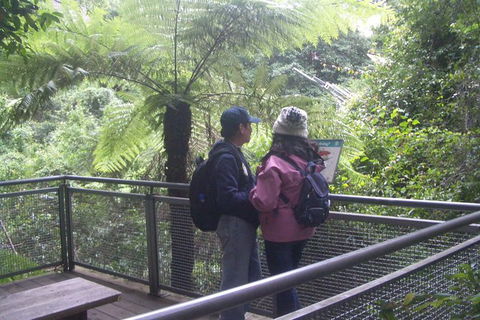 All-Day Blue Mountains Private Tour With Professional Guide For Up To 4 People - Accommodation Fremantle 19