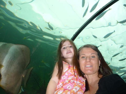 WILD LIFE Sydney Entrance Ticket - Accommodation Fremantle 4