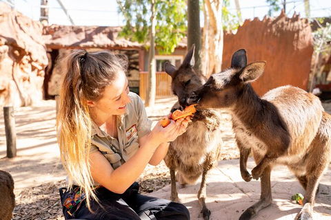 WILD LIFE Sydney Entrance Ticket - Accommodation Fremantle 18