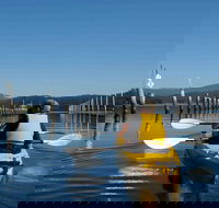 Batemans Bay Oyster Tasting Kayak Tour - Accommodation Fremantle