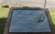 Barmera Aquatic Sporting Pioneers - thumb 1