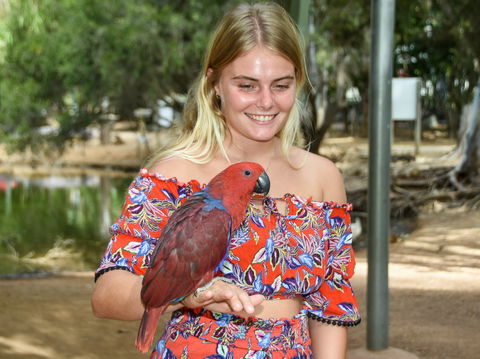 Billabong Sanctuary - Accommodation Fremantle 2