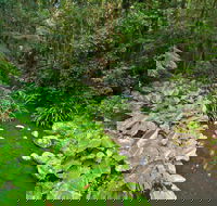 Brindle Creek Walking Track - Accommodation Fremantle