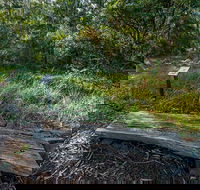 Browns Forest Loop Trail - Accommodation Fremantle