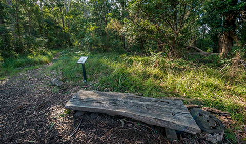 Browns Forest Loop Trail - Accommodation Fremantle 0