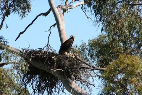 Castle Creek Reserve - Accommodation Fremantle 0