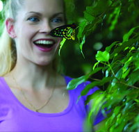 Coffs Harbour Butterfly House - Accommodation Fremantle