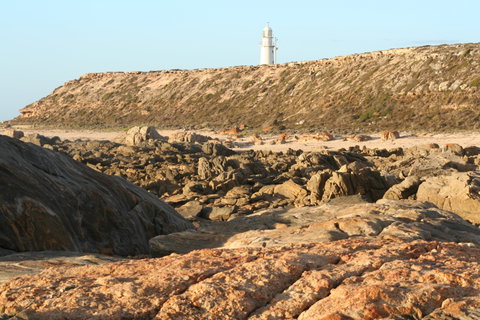 Corny Point Lighthouse - Accommodation Fremantle 0