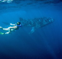 Coral Coast Wildlife - Accommodation Fremantle