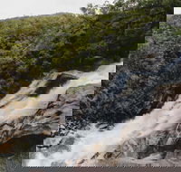 Davies Creek National Park and Dinden National Park - Accommodation Fremantle
