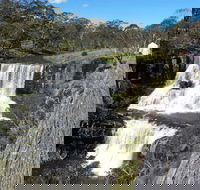 Ebor Falls - Accommodation Fremantle