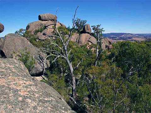 Evans Crown Nature Reserve - Accommodation Fremantle 0