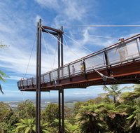 Forest Sky Pier Sealy Lookout - Accommodation Fremantle