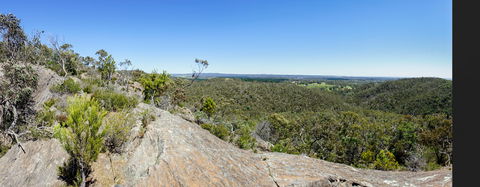 Hale Conservation Park - Accommodation Fremantle 0