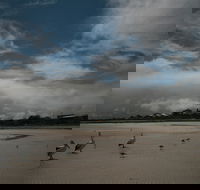 Hardwicke Bay - Accommodation Fremantle