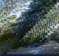 Hastings Forest Way Touring Route - Accommodation Fremantle