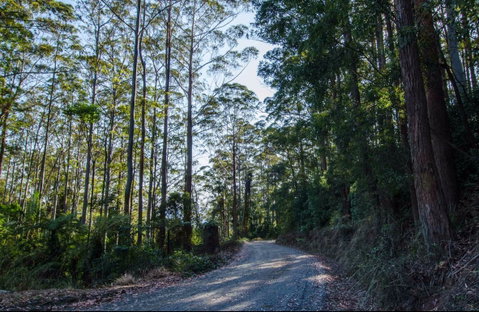 Hastings Forest Way Touring Route - Accommodation Fremantle 0