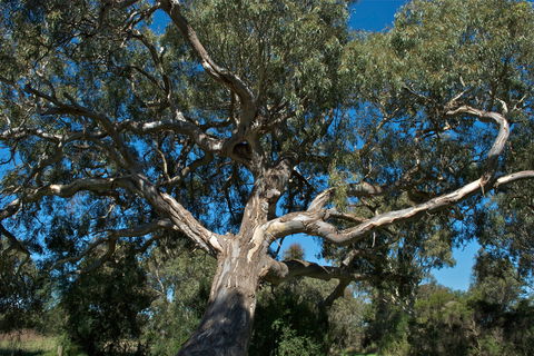 Holey Plains State Park - Accommodation Fremantle 0