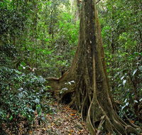 Iluka Nature Reserve