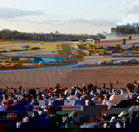 Ipswich Motorsport Precinct - Accommodation Fremantle