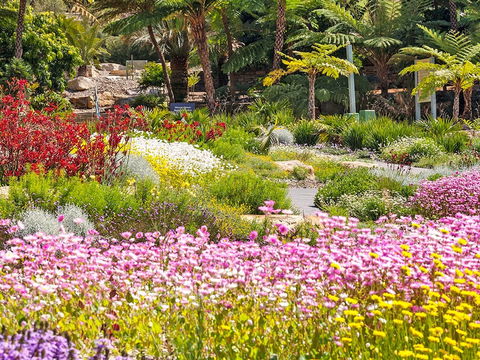 Jurassic Garden AR Experience - Accommodation Fremantle 0